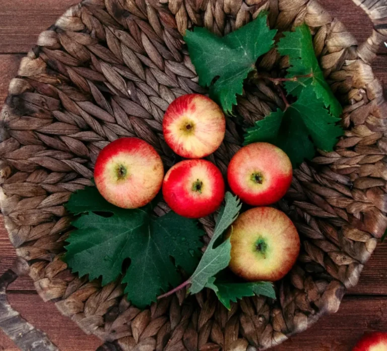 Dwarf Apple Trees